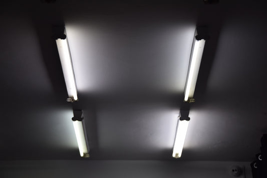 turned on fluorescent bulbs