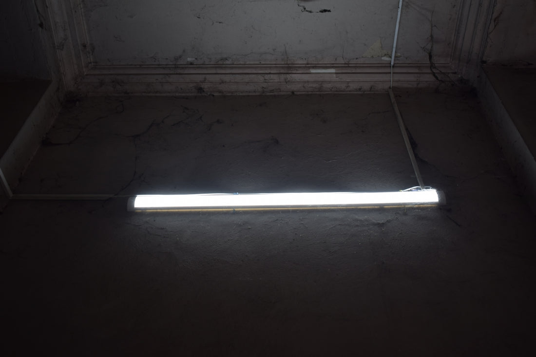 A bright fluorescent light hangs in darkness.
